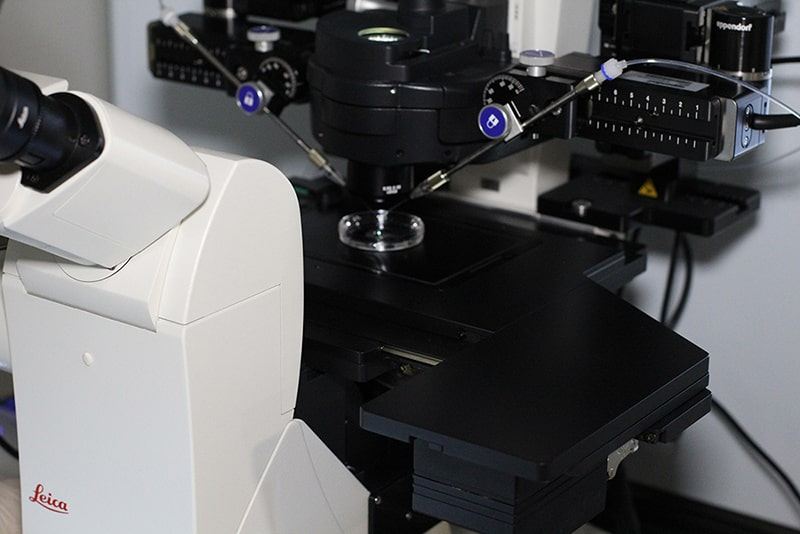 The IVF laboratory at Saint Joseph Fertility Center
